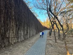 -十三陵水库