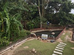 -广东惠东海龟国家级自然保护区