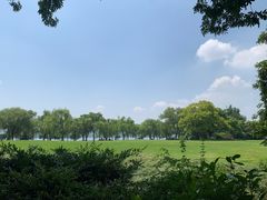 -柳浪闻莺公园