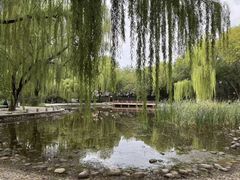 -玲珑塔公园