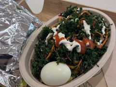 -油梨树 AVOCADO TREE(亮马桥店)