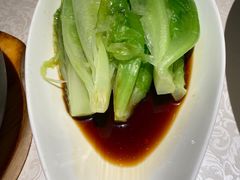 白灼生菜-维园悦谱·海派家常菜(乌鲁木齐南路店)