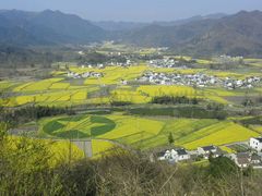 -塔川景区