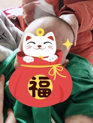 -禧婴婴儿理胎发·胎毛笔定制纪念品(新街口店)