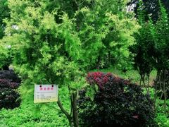 -晓港公园