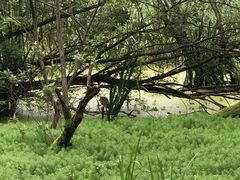 -西湖风景区-江洋畈生态公园