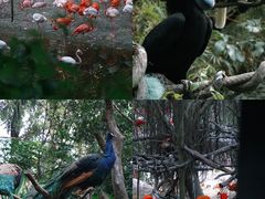 -广州长隆野生动物世界