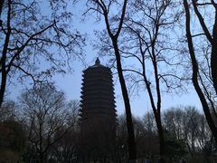 -玲珑塔公园