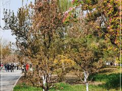 -元大都城垣遗址公园