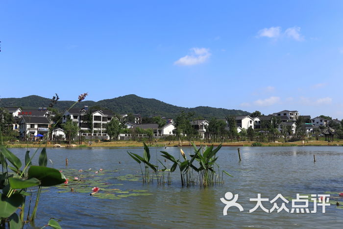 石塘竹海-圖片-南京周邊遊-大眾點評網