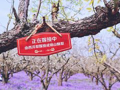 -江苏三台山国家森林公园