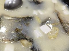 -翟韵茶咖棋牌