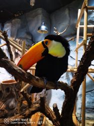 -Zoolung Zoolung动物主题公园(海信广场店)