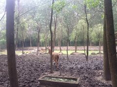 溱湖国家湿地公园-溱湖国家湿地公园