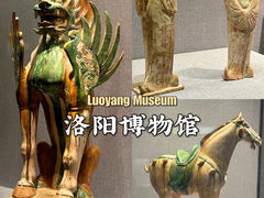 -洛阳博物馆