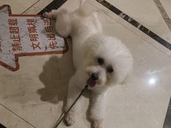-老街烧烤大排档·地道湖北菜·龙虾馆(汉口火车站店)