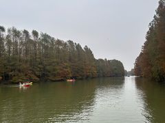 -上海海湾国家森林公园