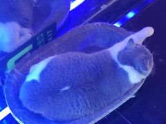 -暗楼·剧本杀·桌游