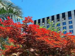 -W FITNESS 威尔仕健身·游泳(七宝店)