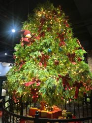 -幻贝家儿童乐园(苏州中心店)