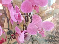 -新加坡瑞士史丹福酒店