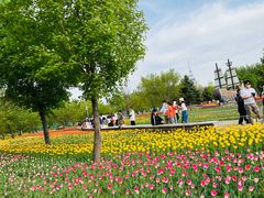 -长春公园(普阳街道)