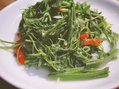 -一坐一忘云南菜(三里屯店)
