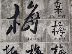 -无锡梅园公园