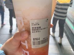 芝芝桃桃-喜茶(中山利和新地店)