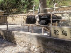 -燕塞湖鸟语林景区
