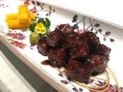 -蝶园·装修中(BFC外滩金融中心店)