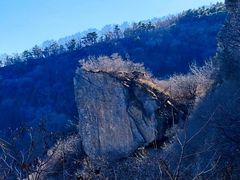 -北京鹫峰国家森林公园