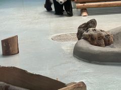 -柳州市动物园