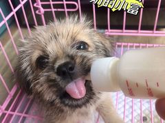 -立德动物医院·24小时中心(番禺区院区)