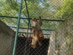 -合肥野生动物园