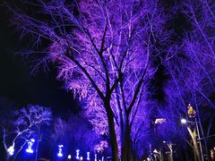 -人民防洪胜利纪念塔