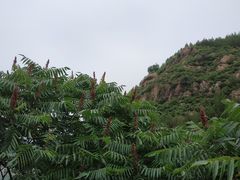 -仙居谷风景区