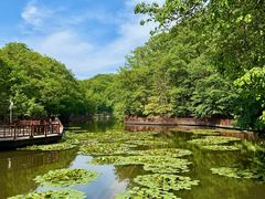 -洛阳白云山景区