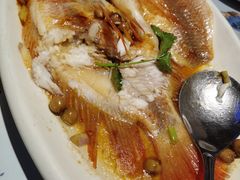 -蝴蝶汇音乐酒馆(罗湖店)