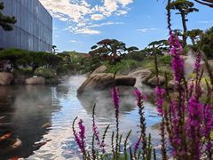 -罗红摄影艺术馆