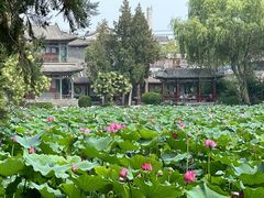 -莲池书院博物馆