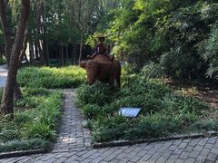 -溱湖国家湿地公园