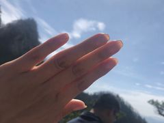 -王顺山国家森林公园