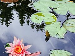 -金银湖国家城市湿地公园