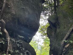 -青城山