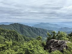 -王顺山国家森林公园