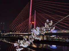 -映月湖中央公园