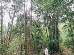 -红山村