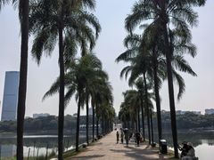 -南宁南湖公园