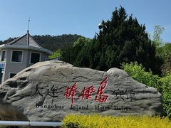 -棒棰岛宾馆景区